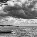 Anse du Cul du Loup / Quettehou (Manche, Normandie)