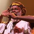The Congos