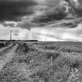 Paysage charentais (Charente, Poitou-Charente)