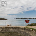 Ria d'Etel - Port du Vieux Passage (Plouhinec, Morbihan)