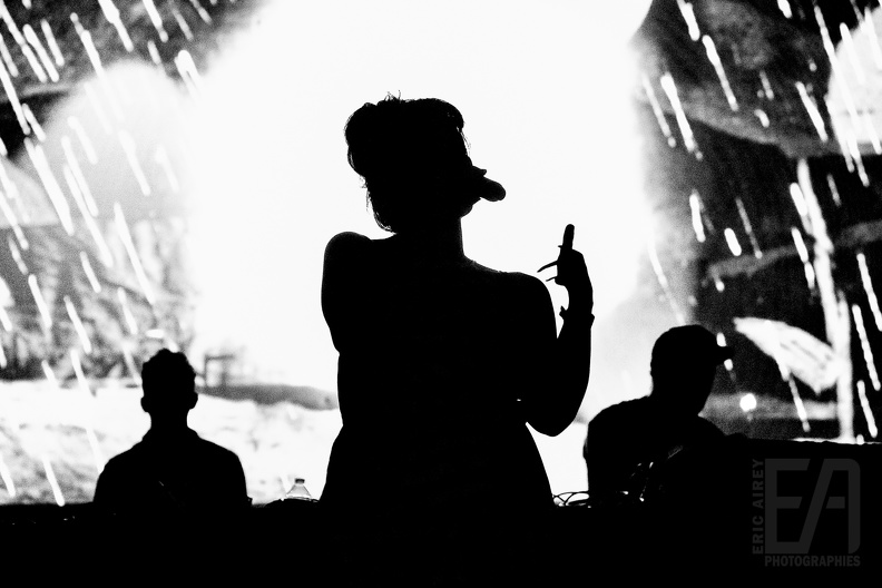 MM2019 (2019-05-31) - 471 - Logo EA.jpg