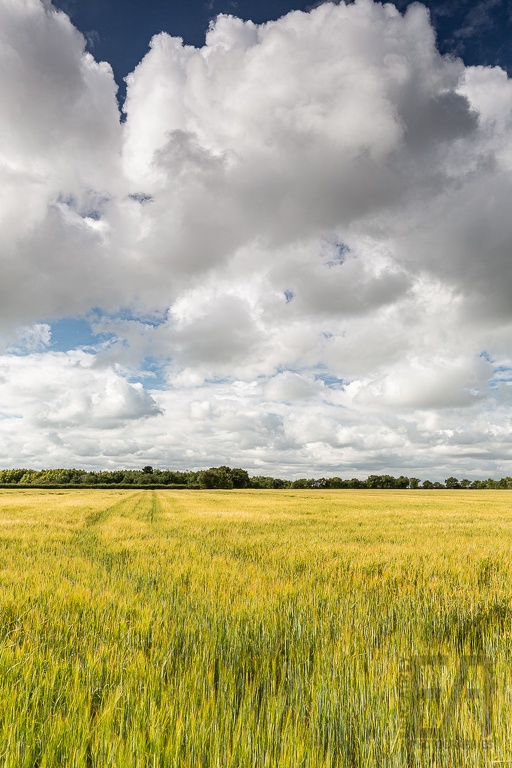 Vendée (2020-06-18) - 101 () - LOGO-Export logo bas droite noir 1920x1080-2.jpg