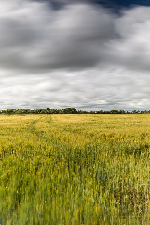 Vendée (2020-06-18) - 094 () - LOGO-2.jpg