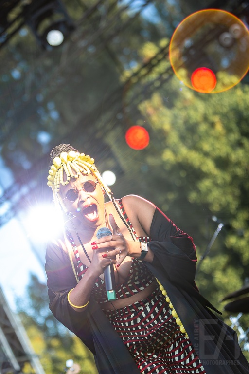 MM2021 Pilani Bubu- 02.jpg