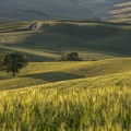 Toscane
