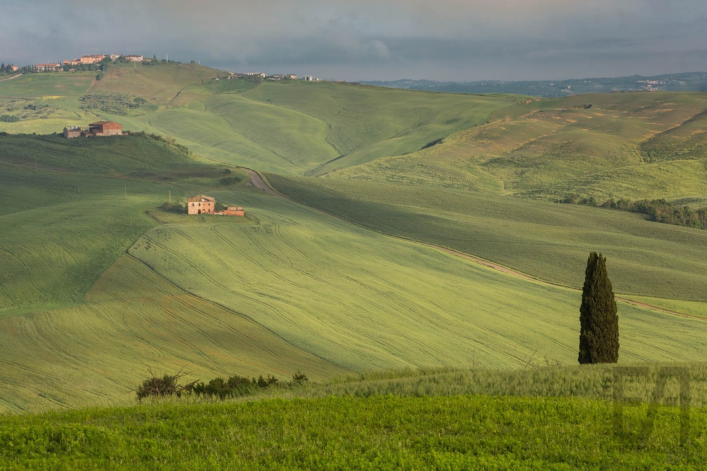 20240508-Toscane (2024-05-08) - 072-cr2 () - LOGO.jpg
