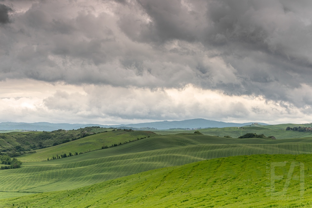 Toscane (2024-05-07) - 063-cr2-DxO_DeepPRIME XD2 - Logo EA.jpg