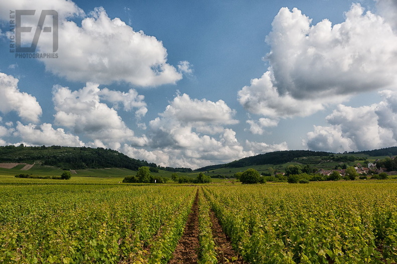Bourgogne-Beaujolais (2013-06-26) - 005-Modifier-Modifier () - LOGO 1024.jpg